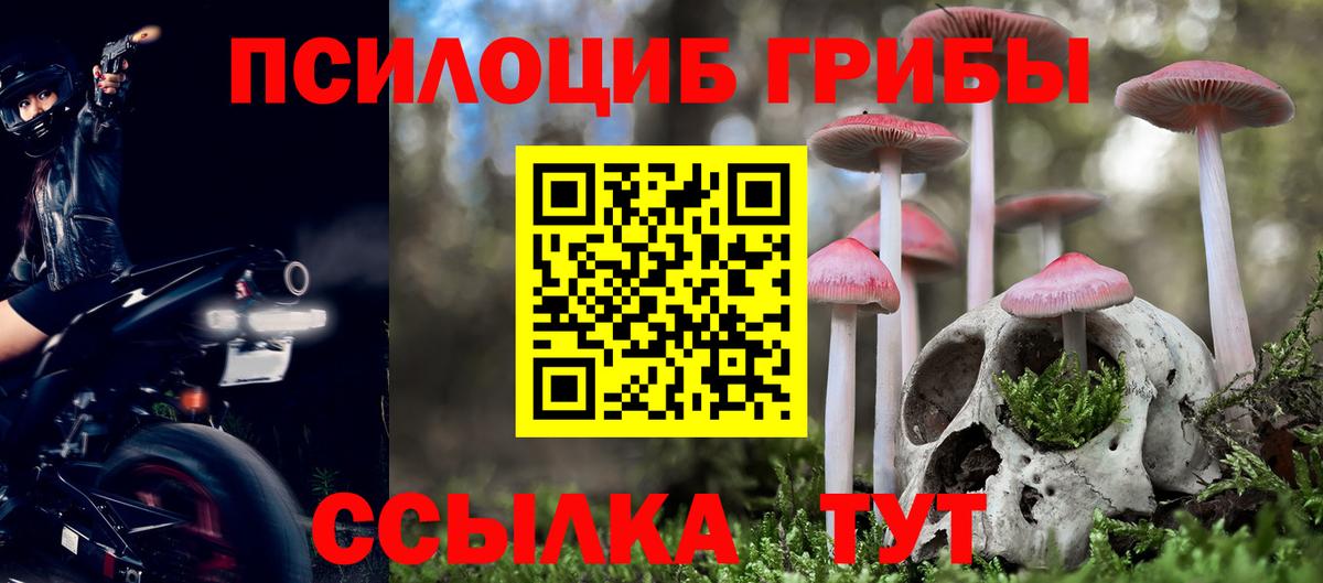 Псилоцибиновые грибы GOLDEN TEACHER Кинель