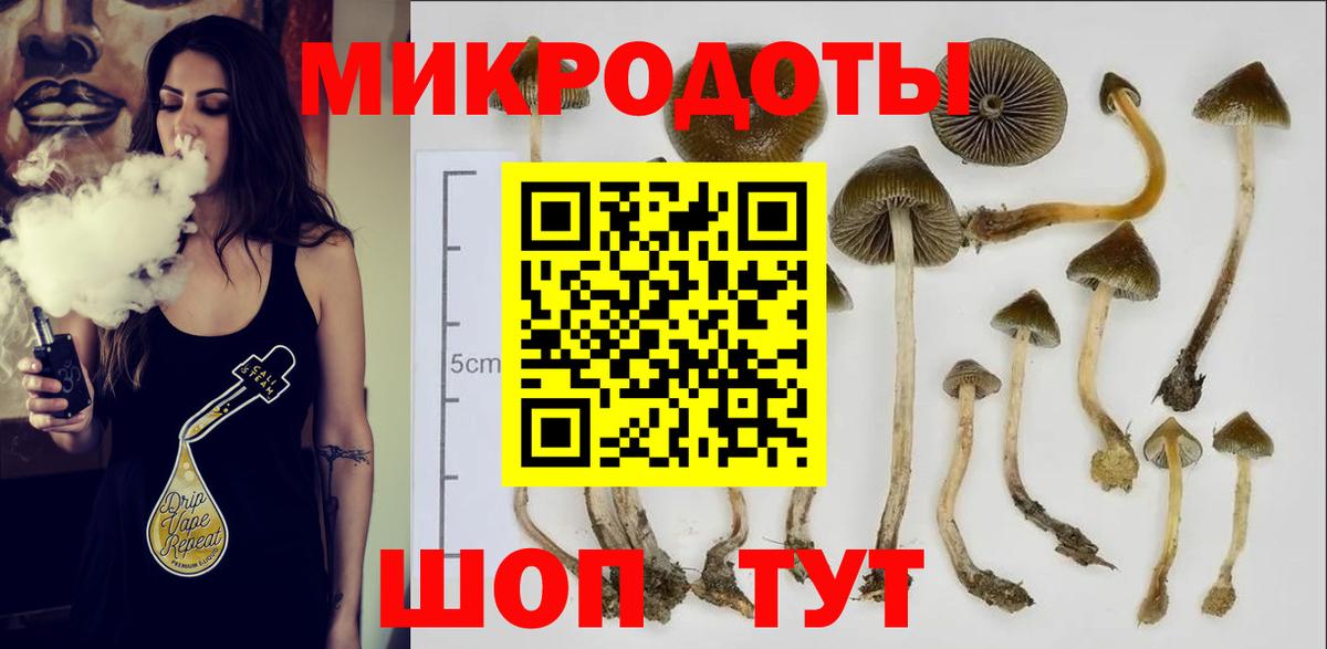 Псилоцибиновые грибы GOLDEN TEACHER  Вход с VPN  Кинель  Псилоцибиновые грибы Psilocybe 